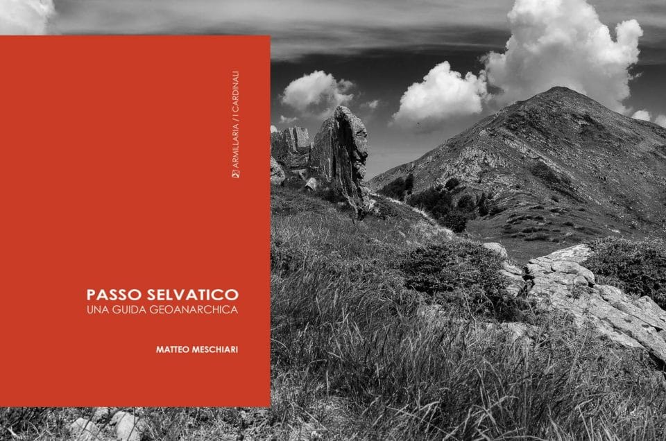 Passo selvatico