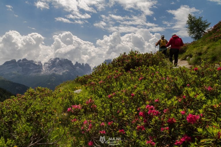 Trekking nelle Dolomiti di Brenta