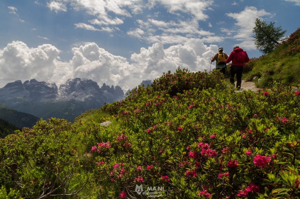 Trekking nelle Dolomiti di Brenta
