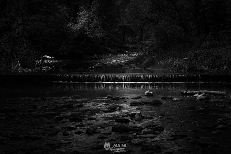 Filippo Macchi, I’m a proud member of Nature First: The Alliance for Responsible Nature Photography