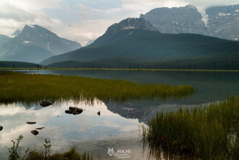 Canada le terre dell'orso grizzly