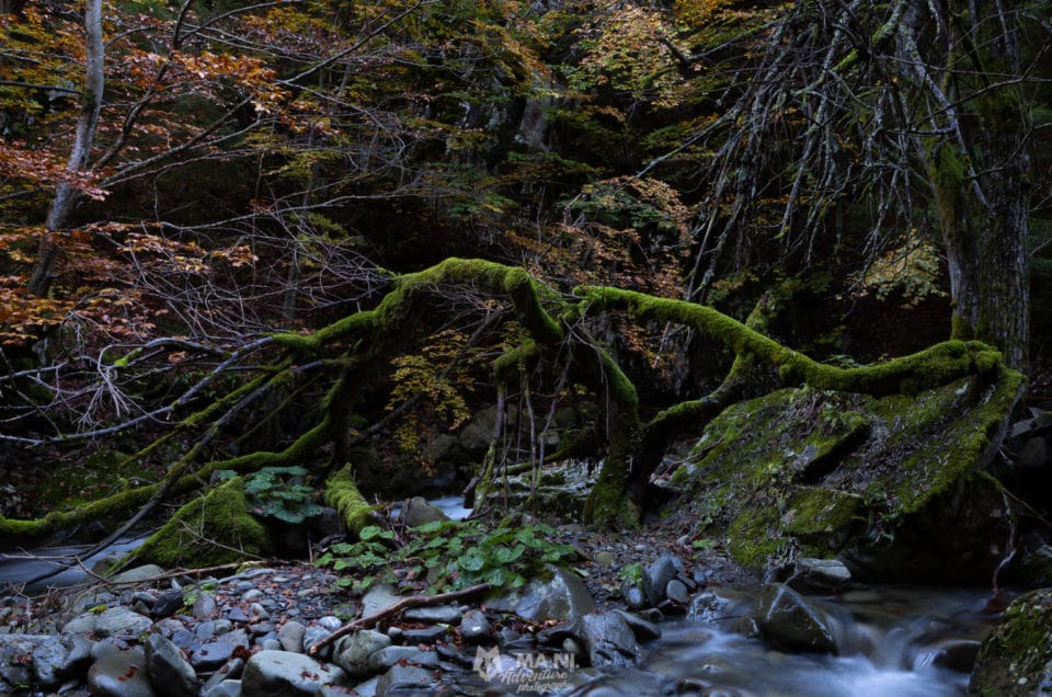 Accesso alla natura: why not?