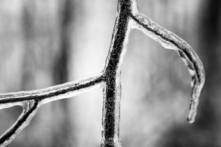 Freezing rain ovvero la pioggia ghiacciata