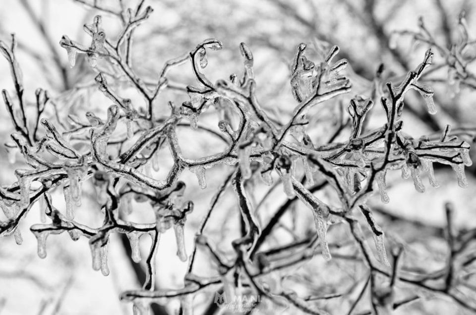 Una passeggiata d’inverno