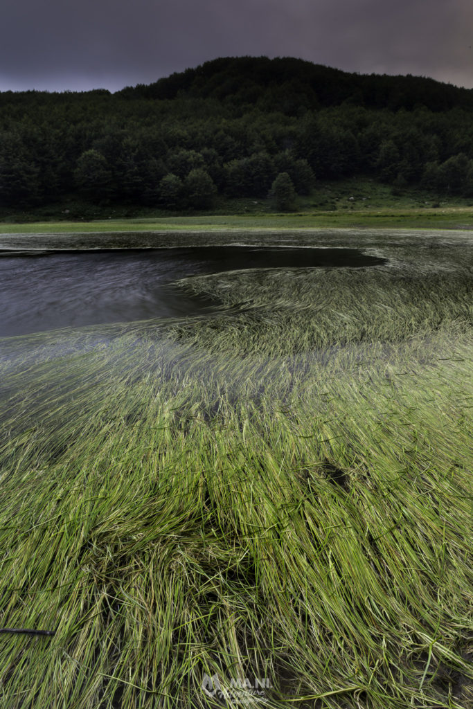 Il lago Baccio in versione estiva con le tipiche alghe