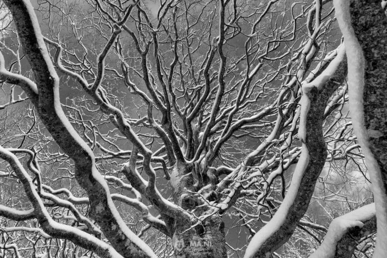 Solstizio d'inverno