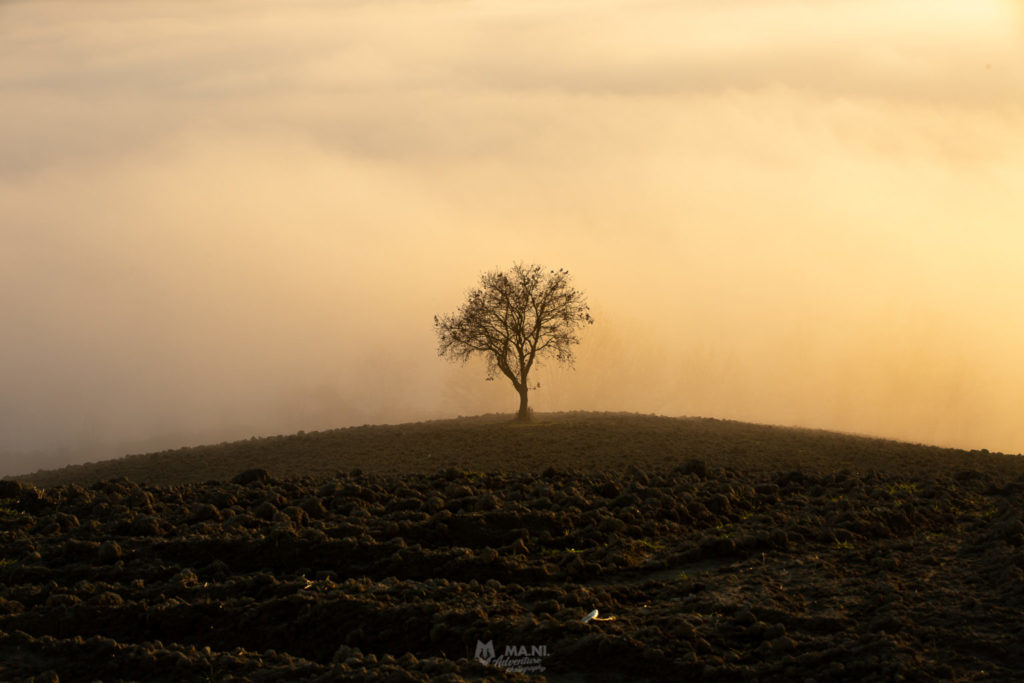 Fotografia di paesaggio con la nebbia