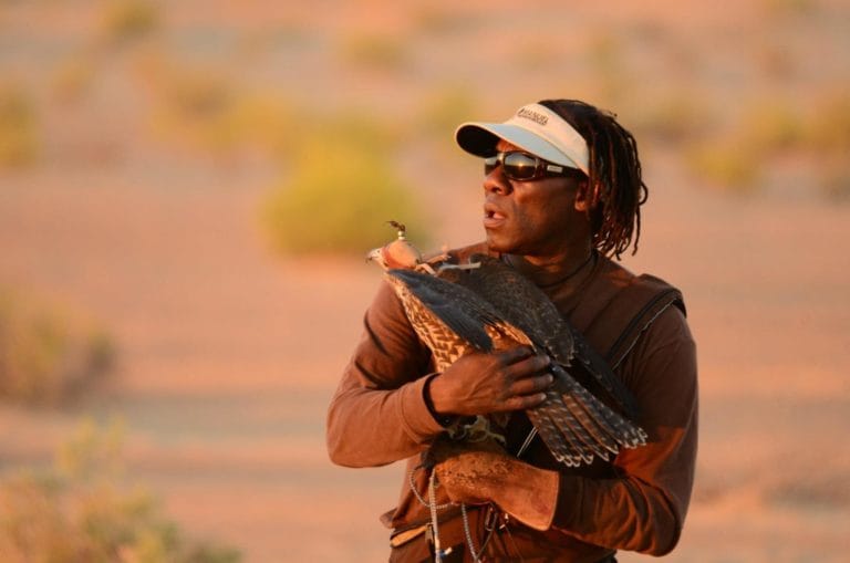shawn hayes, Game Hawker