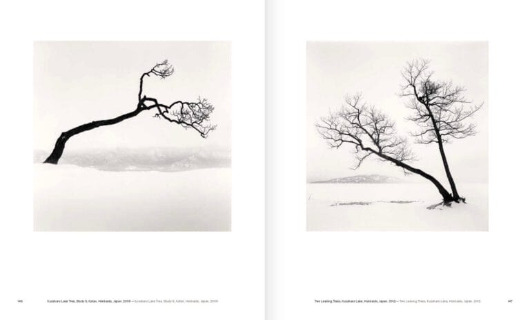 Michael Kenna Alberi