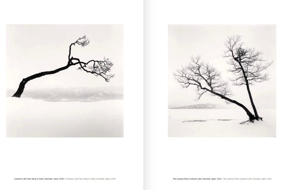 Michael Kenna, Alberi