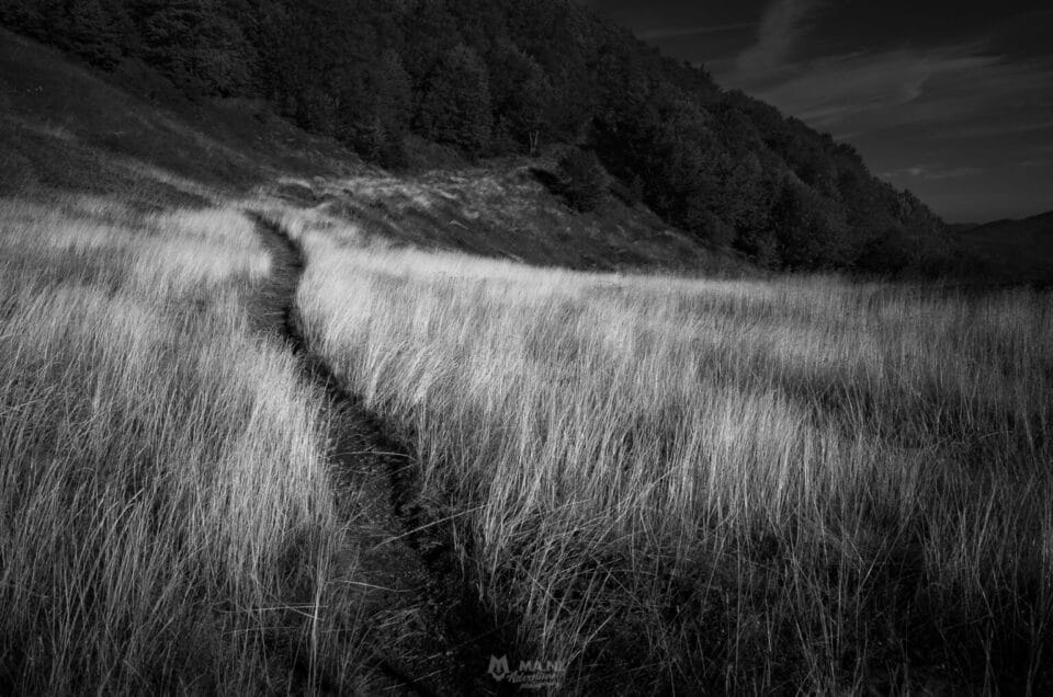 Solitude