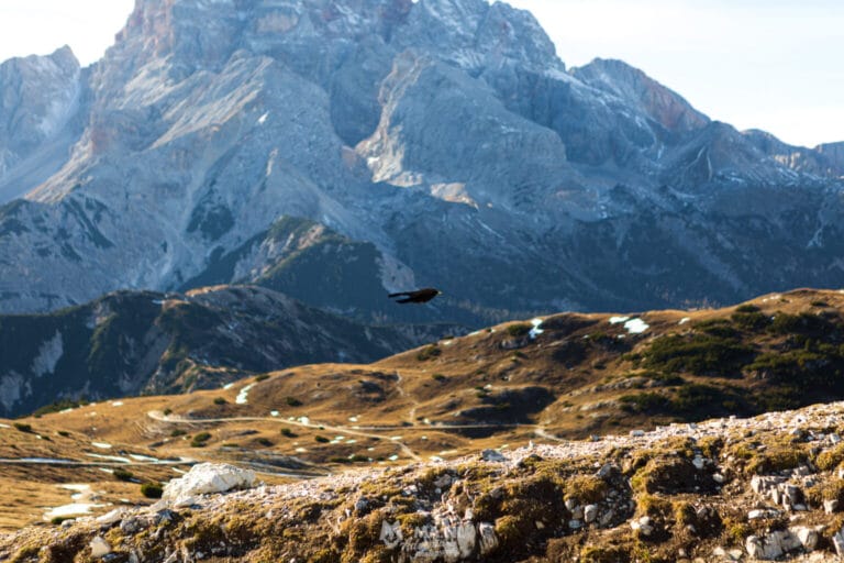 Ecco la mia proposta per raccontare la montagna