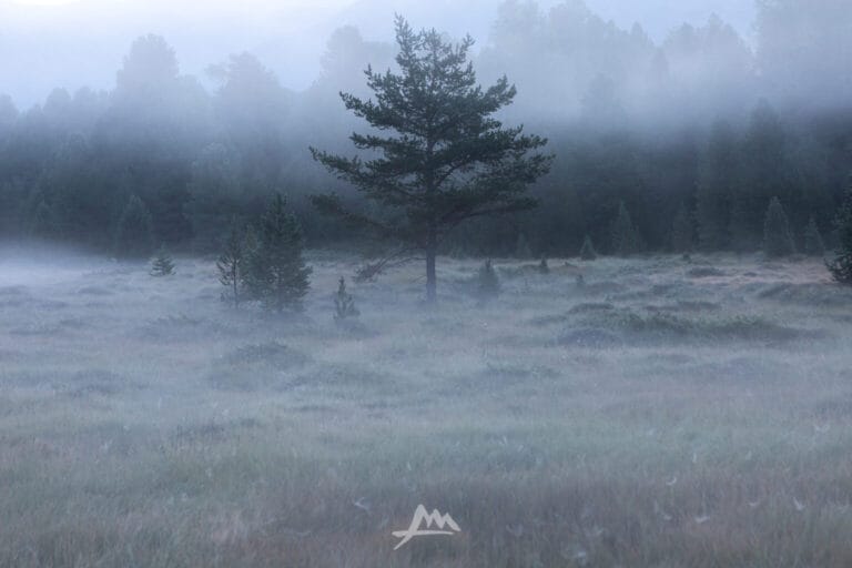 Benvenuto autunno con le sue brume
