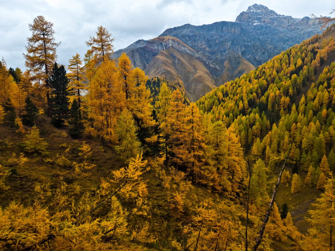 Camminare sotto la pioggia