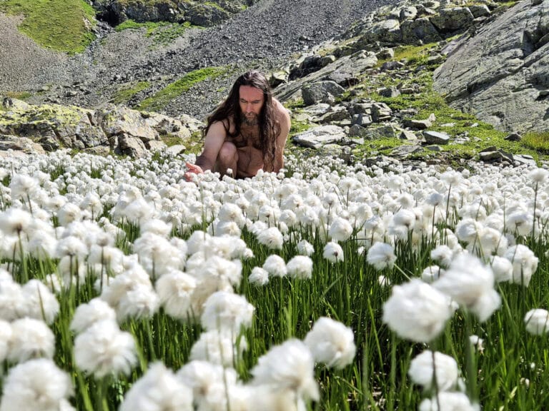 La magia dell'erioforo in piena fioritura