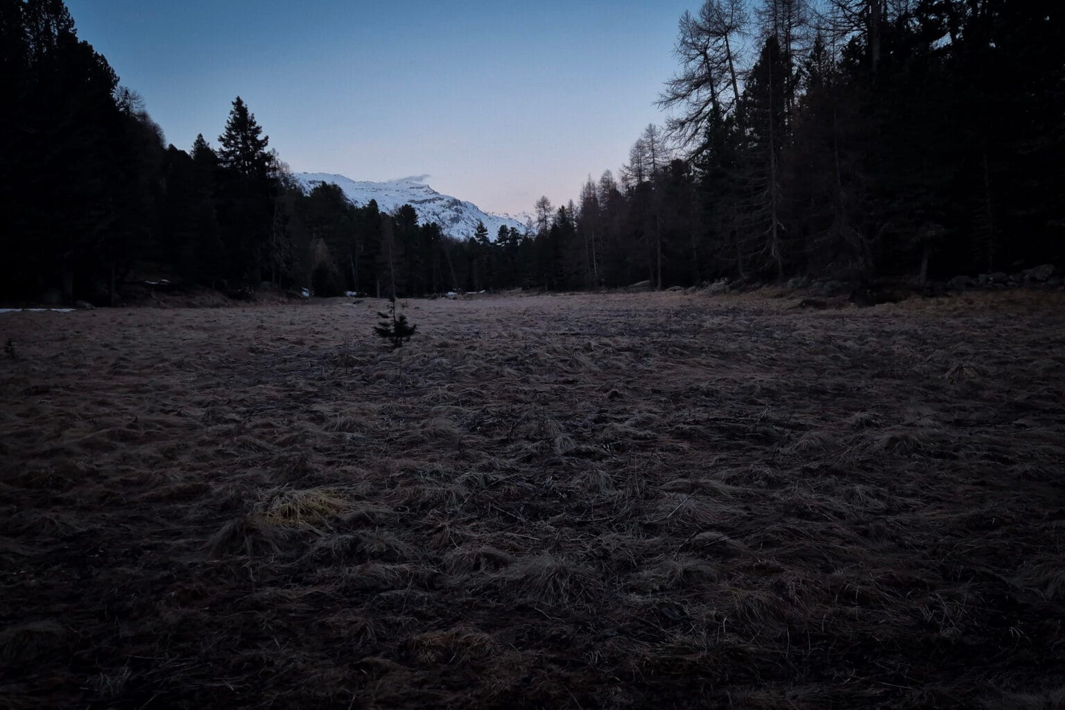 Un viaggio nel fragile confine tra notte e giorno, tra paura e meraviglia.