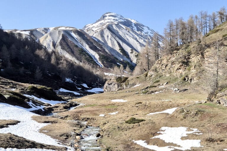 Ecco dove il gheppio solitario voltaggia silenzioso