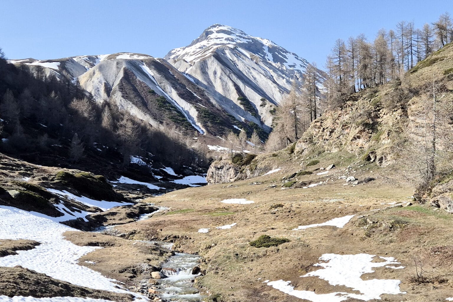 Ecco dove il gheppio solitario voltaggia silenzioso