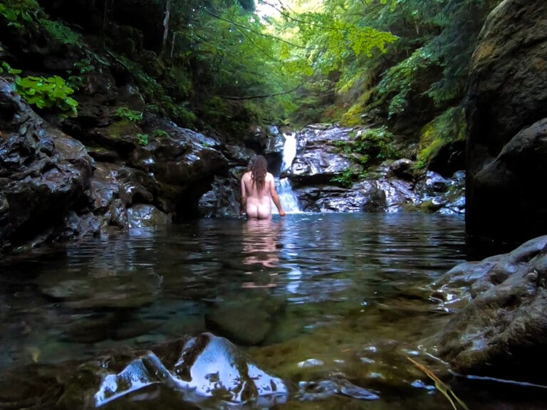 Nel cuore del bosco alla ricerca di me stesso
