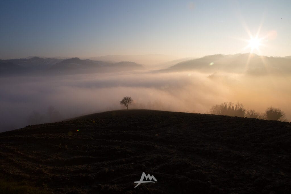 Albero solitario al tramonto, evocazione di Saudade e nostalgia
