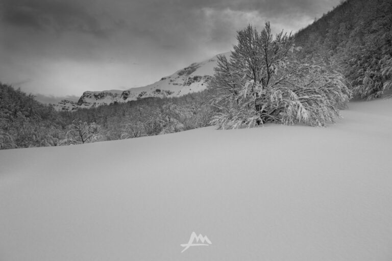 Leggere una fotografia di paesaggio invernale oltre la tecnica: entrare nell’immagine con il respiro