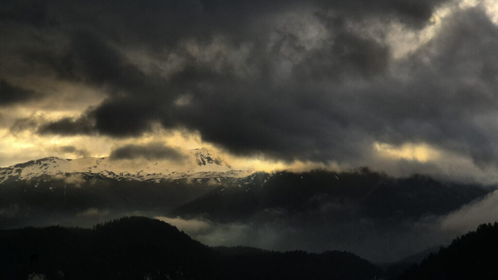Vallata alpina immersa in una luce soffusa, alberi spogli e silenzio visibile nel paesaggio