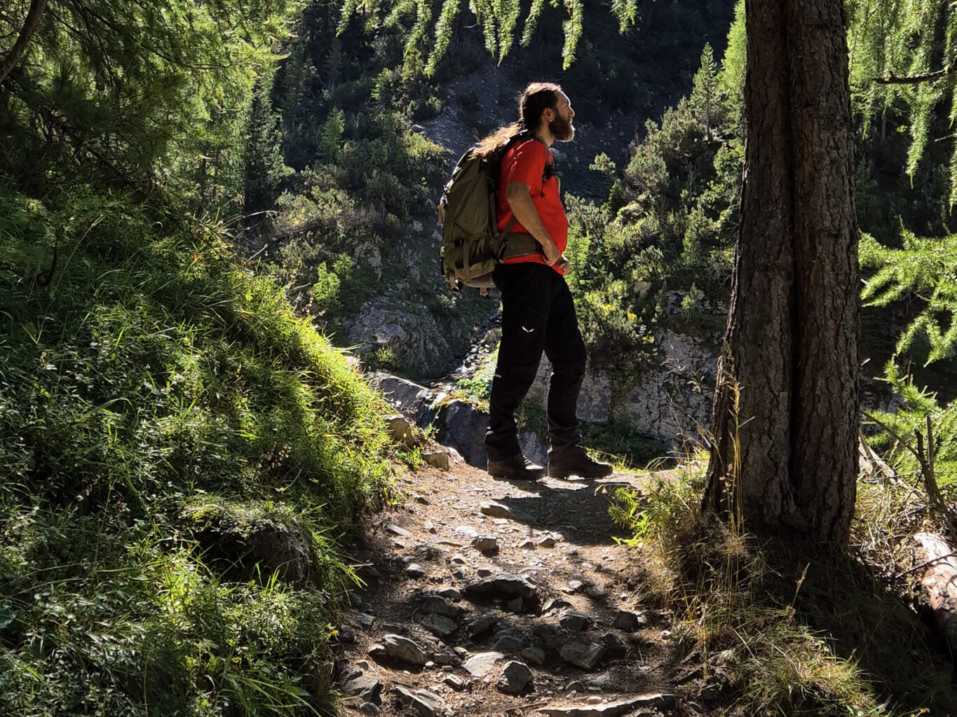 Sentiero che si inoltra in un bosco